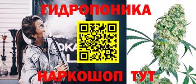 a pvp Канаш